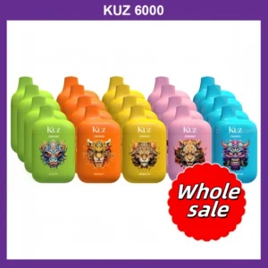 KUZ C6000 PUFFS Wholesale 10pack